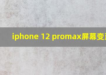 iphone 12 promax屏幕变蓝色